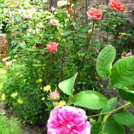 דירה Ferienwohnung Erfurt