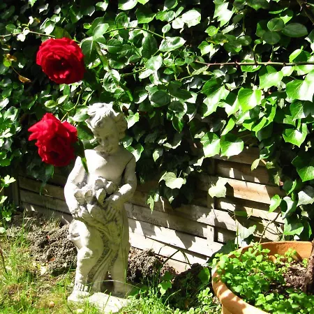 Ferienwohnung Erfurt 公寓