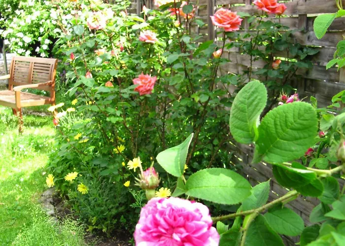 Apartment Ferienwohnung Erfurt